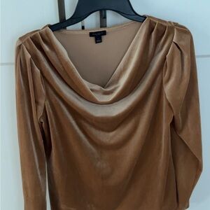Ann Taylor Tan Velvet Blouse